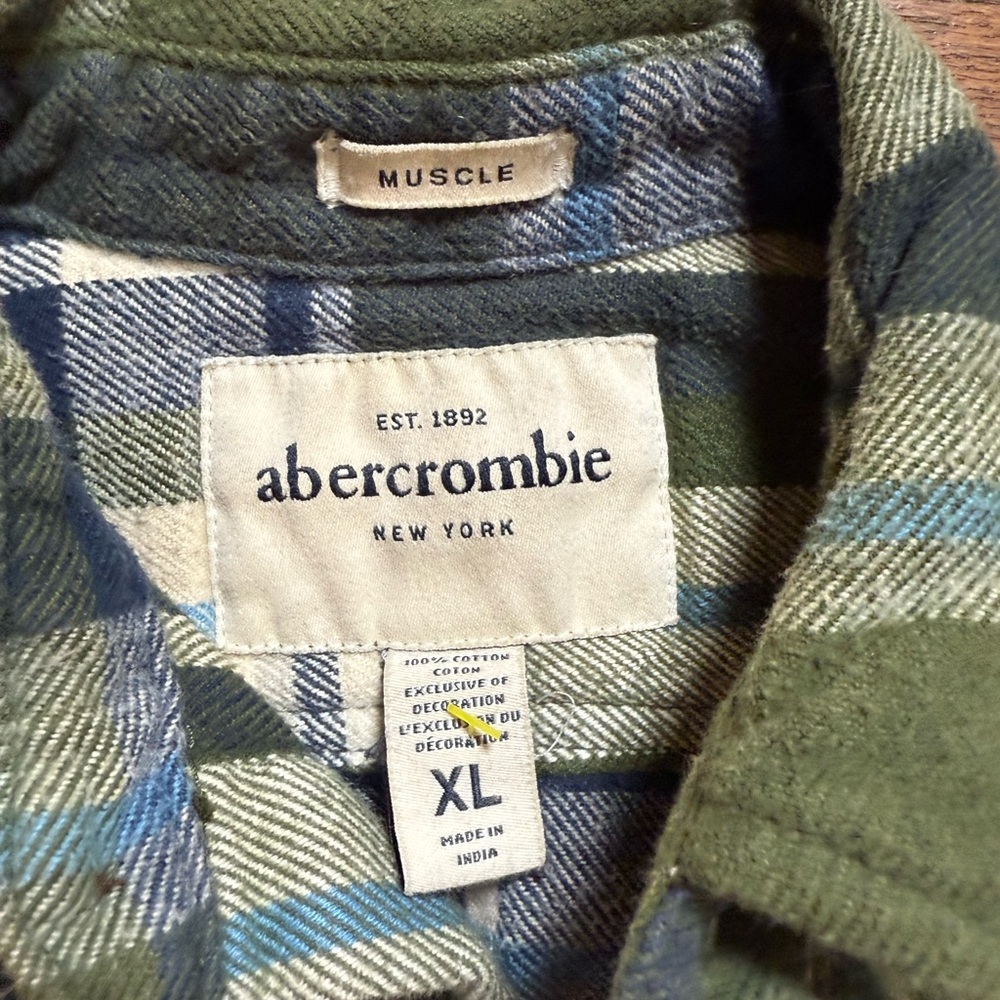 Abercrombie Kids Blue and Green Checkered Shirt
